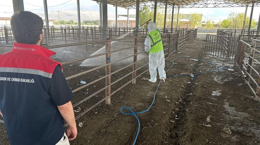 Iğdır’da açılan hayvan pazarı 2 hafta sonra tekrar kapatıldı