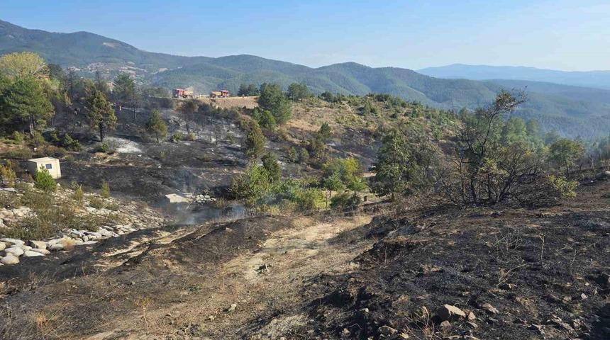 Ormanda piknik keyfi, faciaya sebep oluyordu...