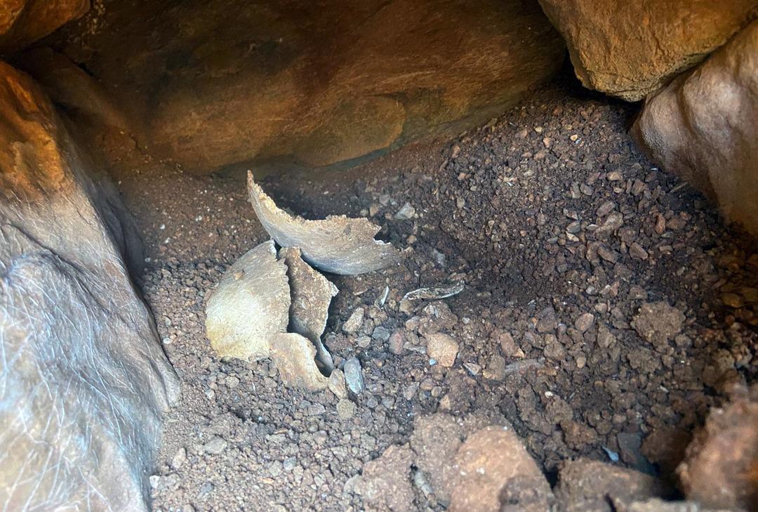 Altyapı çalışmasında karşılarına çıkan şaşkına çevirdi! Şeritler çekildi, polis nöbet tutmaya başladı 1