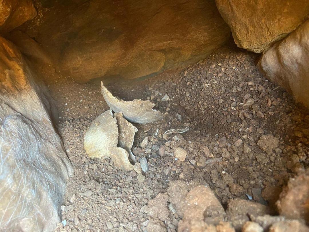 Yer: Muğla! Su deposu kazısında bulundu: Çalışmalar durdu, inceleme başlatıldı 1