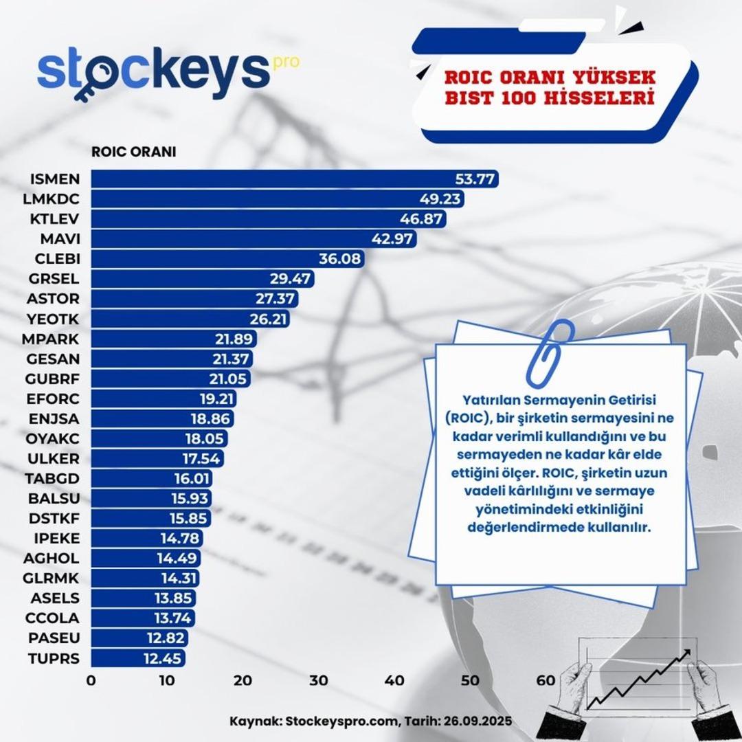 BIST 100 de kârlılıkta zirveye oynayanlar: İşte en yüksek ROIC oranına sahip hisseler 3