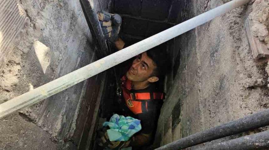 Apartman boşluğuna düşen kedi zorlu operasyonla kurtarıldı