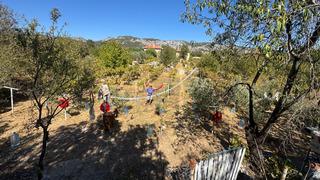 Kilosu 500 TL'ye satılıyor! 1 yıl önceden ayırtıyorlar 'Satış pazarlama sorunu yok'