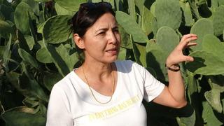 Kurarken dalga geçtiler, görünce anladılar! Yurt dışına 10 ton satıyor 'Kıymeti bilinmiyor, maliyetsiz, emeksiz gelir'