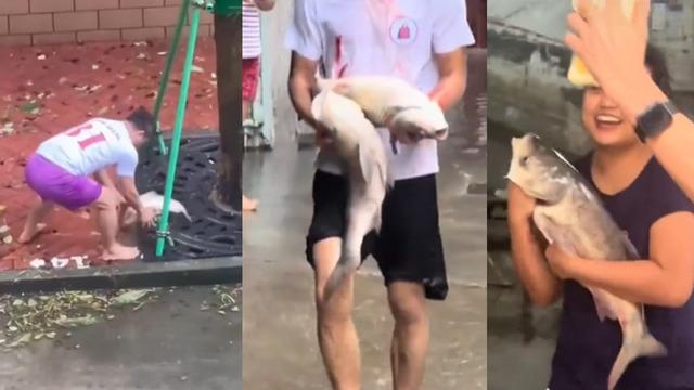 Sokak ortasında elleriyle balık avladılar! Tayfun vurdu yüzen bile oldu... Çin'den inanılması güç görüntüler
