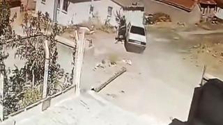 Seyir halindeki araçta yılan paniği kamerada: Sürücü araç durmadan indi