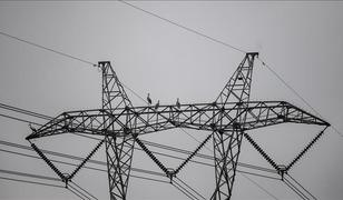 Spot piyasada elektrik fiyatları (22 Aralık 2025)