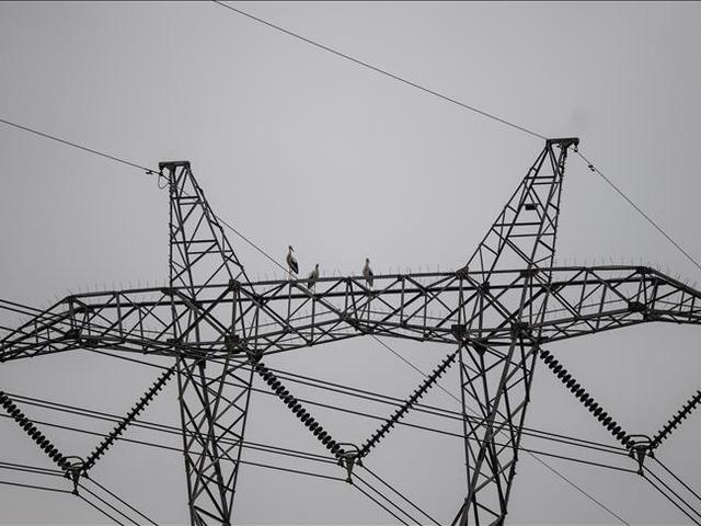 Spot piyasada elektrik fiyatları (22 Aralık 2025)