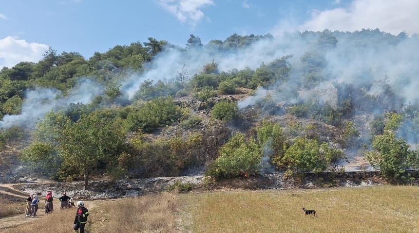 Tokat'ta ormanlık alanda çıkan yangın söndürüldü