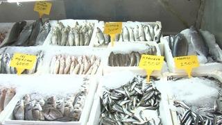 Deprem sonrası Kahramanmaraş'tan 54 ülkeye balık ihracatı