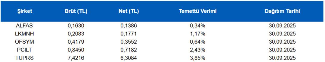 Borsa İstanbul da yeni hafta: Temettü coşkusu ve kritik veri gündemi 1