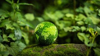 Çevre temizlik vergisi nedir, nasıl ödenir?