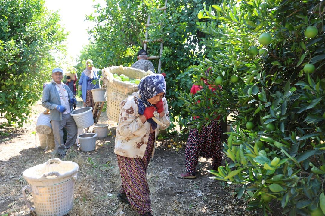 1 TL ydi, 20 TL ye çıktı, mesai başladı  Ulaşırsak şanslı sayacağız  2 ülkeden yoğun talep 5