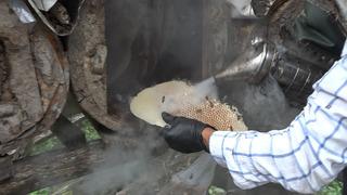 Yerden metrelerce yükseklikte el değmeden üretiliyor! Kilosu 7 bin lirayı buluyor