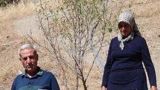 Eşi emekli olunca köyüne dönüp başladı! Yoğun talep var... 250 kilo yaptı, daha da yapacak