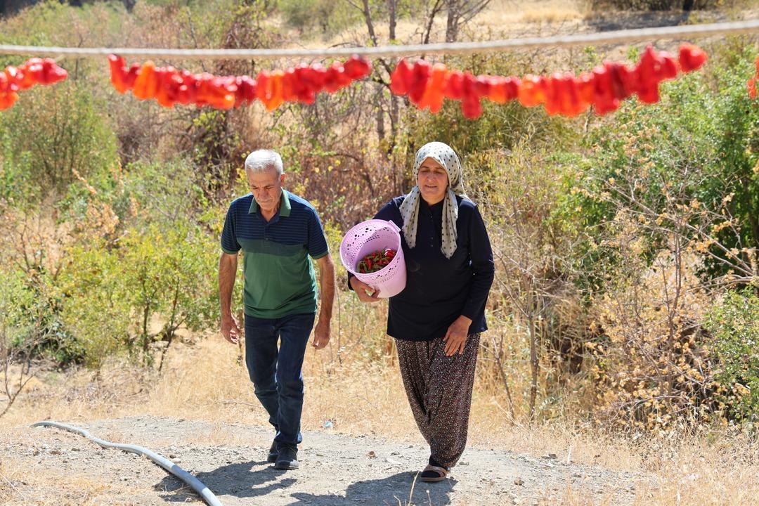 Eşi emekli olunca köyüne dönüp başladı! Yoğun talep var... 250 kilo yaptı, daha da yapacak 4