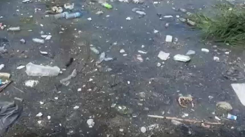 İzmir'de derede kirlilik!