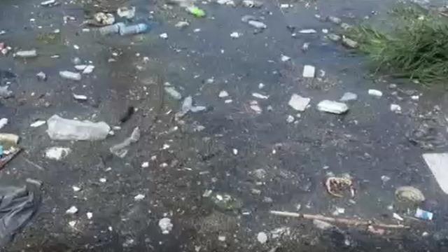 İzmir'de derede kirlilik!