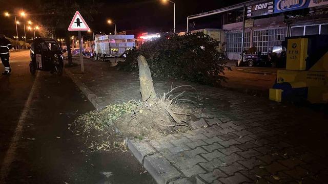 Ordu’da trafik kazası: 3 yaralı 4