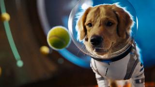 TikTok rakibi: OpenAI, Sora uygulamasını duyurdu! Yeni Sora 2 modeli de tanıtıldı