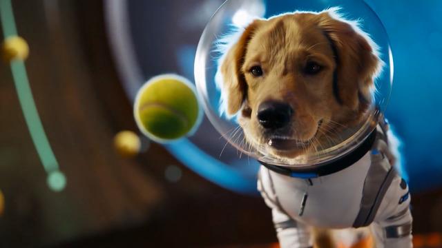 TikTok rakibi: OpenAI, Sora uygulamasını duyurdu! Yeni Sora 2 modeli de tanıtıldı