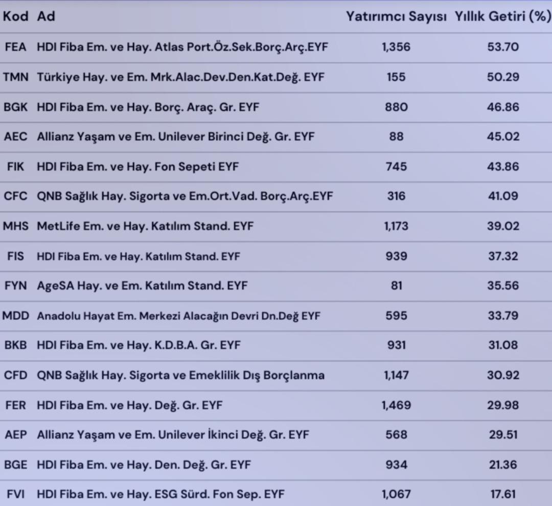 Yatırımcı sayısı az, kazancı yüksek! Kimsenin bilmediği BES fonları rekor getiri sağladı 1