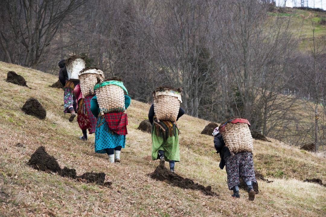 Karadeniz de korkutan sinsi hastalık: ‘Çiftçi akciğeri’ tehlikesi! Uzmanlar uyarıyor... 8