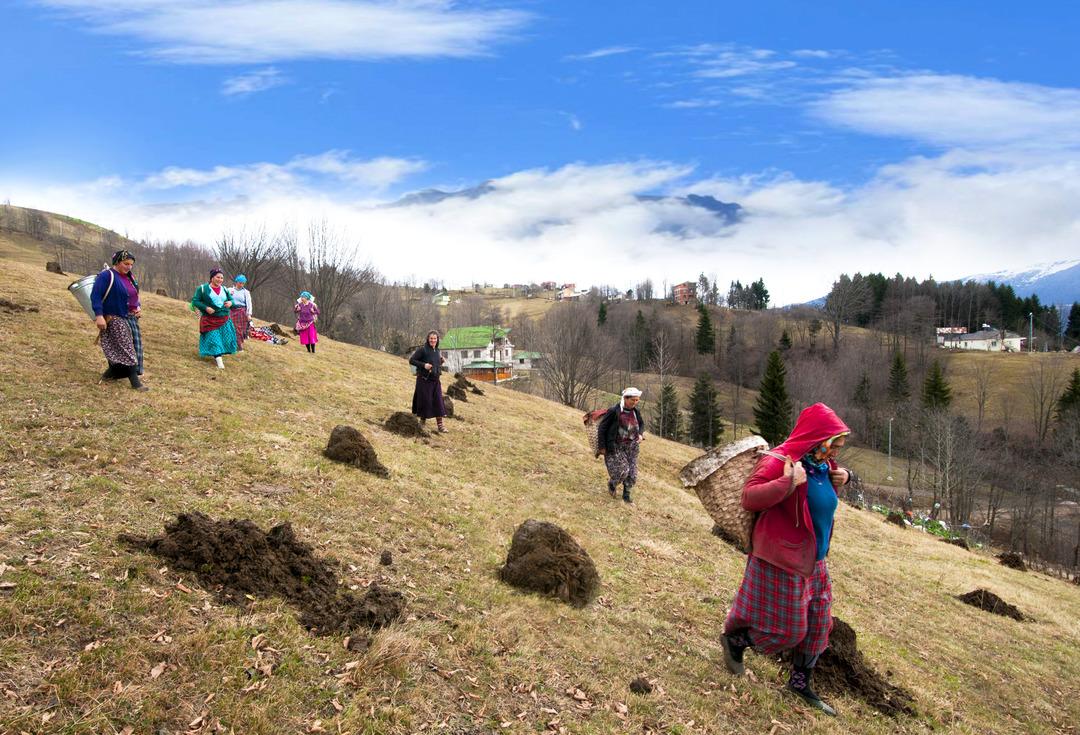 Karadeniz de korkutan sinsi hastalık: ‘Çiftçi akciğeri’ tehlikesi! Uzmanlar uyarıyor... 7