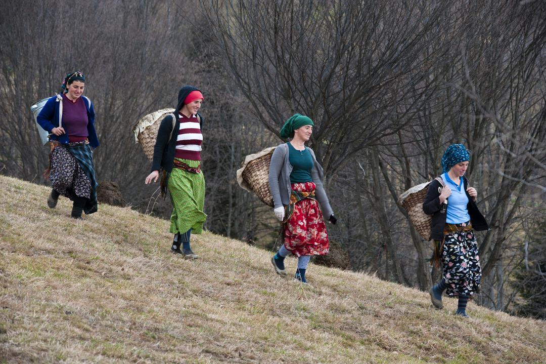 Karadeniz de korkutan sinsi hastalık: ‘Çiftçi akciğeri’ tehlikesi! Uzmanlar uyarıyor... 6