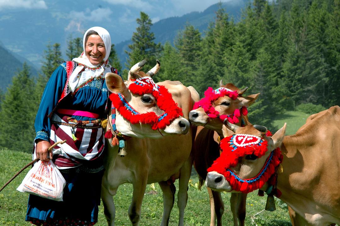 Karadeniz de korkutan sinsi hastalık: ‘Çiftçi akciğeri’ tehlikesi! Uzmanlar uyarıyor... 5