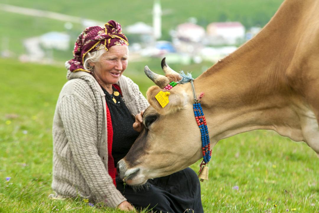Karadeniz de korkutan sinsi hastalık: ‘Çiftçi akciğeri’ tehlikesi! Uzmanlar uyarıyor... 4