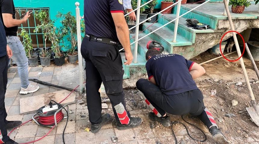 Merdiven boşluğuna sıkışan yavru kediyi itfaiye ekipleri kurtardı