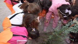 Karapınar’da minikler yeşil çevre için fidan dikti