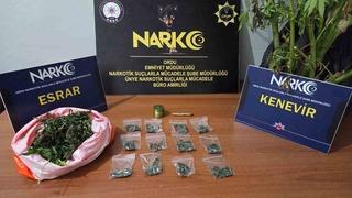 Ordu’da uyuşturucu operasyonlarında 2 tutuklama