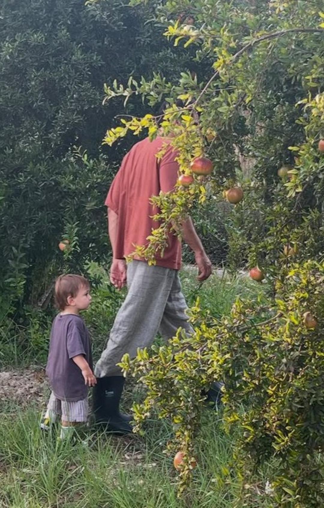 Yargı nın yıldızı Kaan Urgancıoğlu tasını tarağını toplayıp köye yerleşti! Meyve yetiştirip ticarete atıldı!  Kilosu 200 TL  6