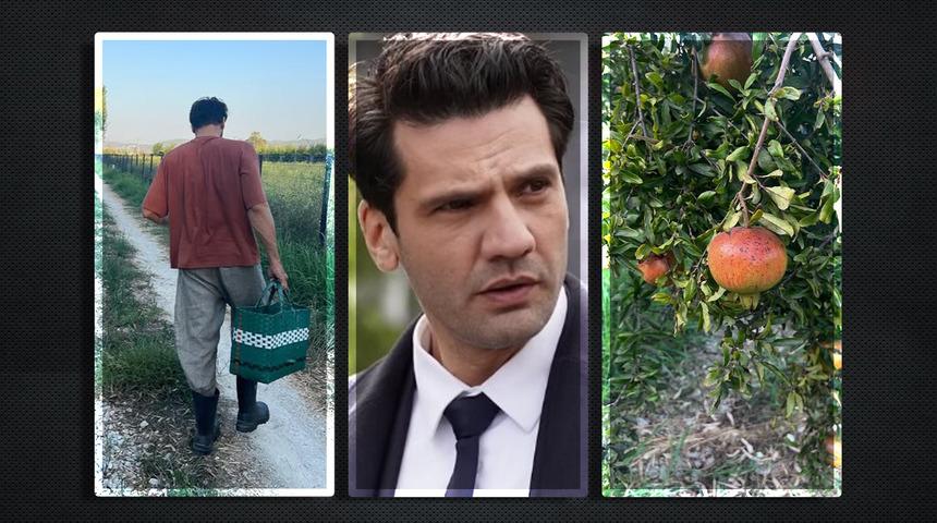 Yargı'nın yıldızı Kaan Urgancıoğlu tasını tarağını toplayıp köye yerleşti! Meyve yetiştirip ticarete atıldı! 'Kilosu 200 TL'