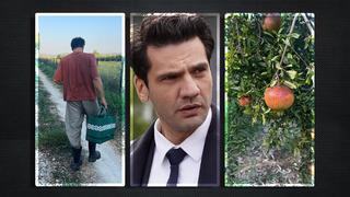 Yargı'nın yıldızı Kaan Urgancıoğlu tasını tarağını toplayıp köye yerleşti! Meyve yetiştirip ticarete atıldı! 'Kilosu 200 TL'