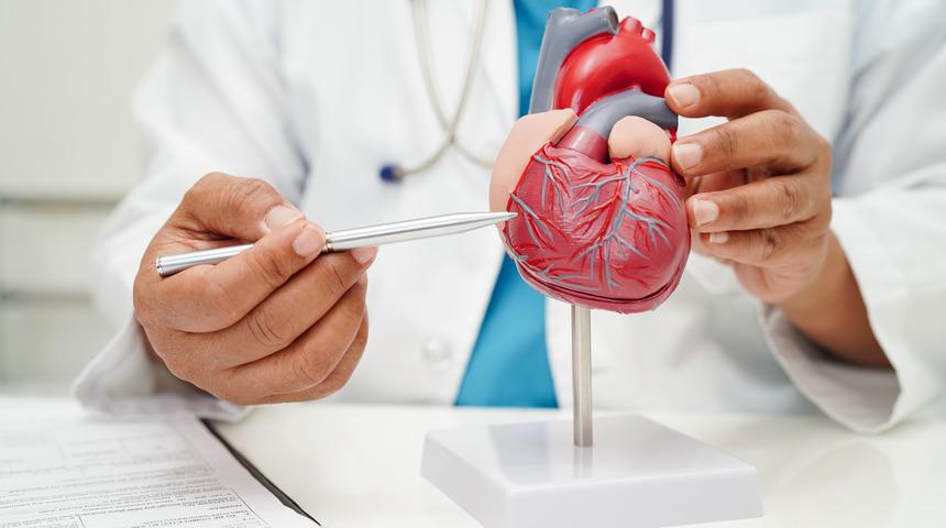 Kardiyoloji nedir, hangi hastalıklarla ilgilenir?