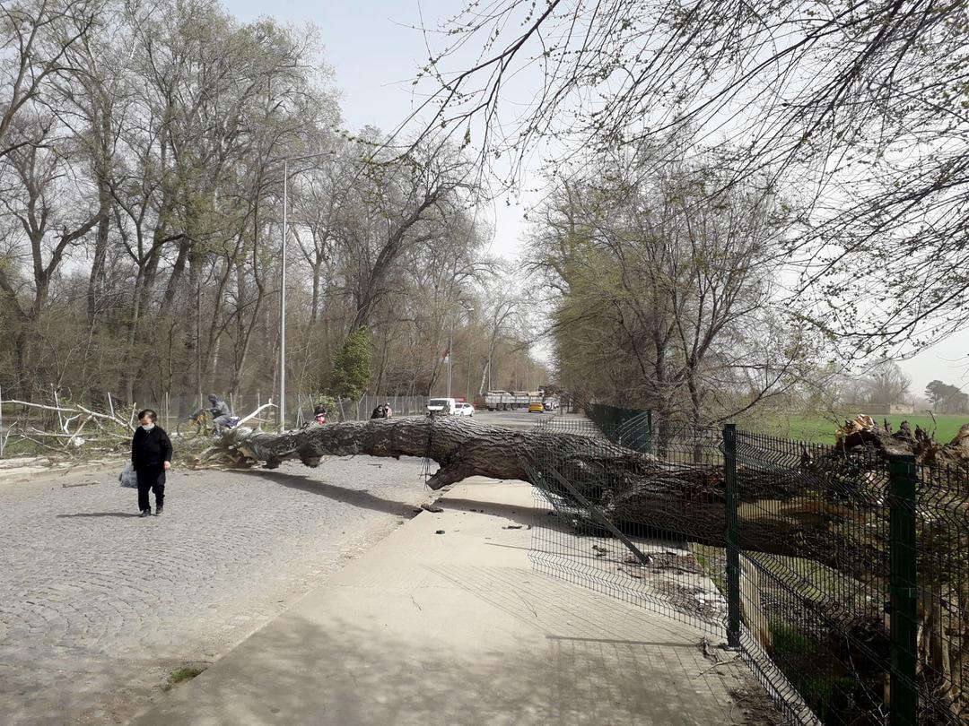 İstanbul da fırtına alarmı! Uçaklar inemedi... Dikkat çeken uyarı:  Devam edecek  2