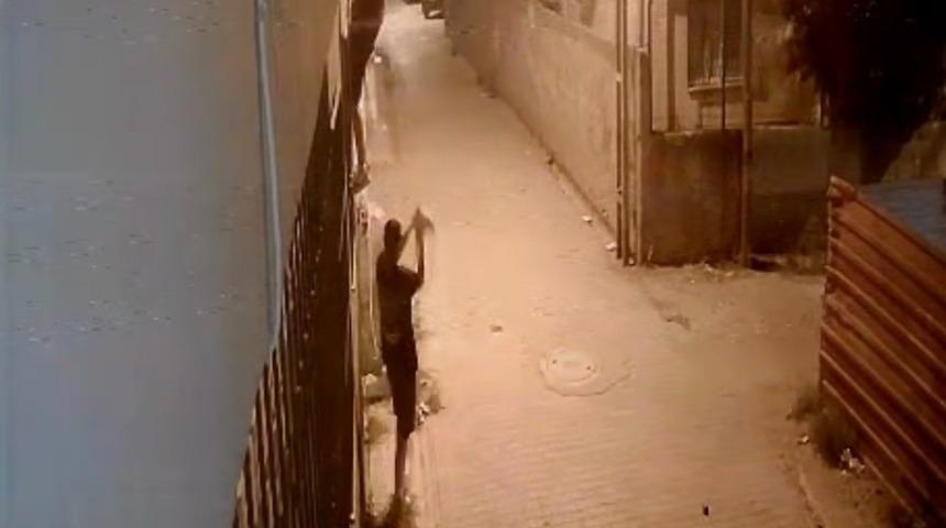 Korkuluklardan tırmanıp, penceredeki kediyi çaldılar