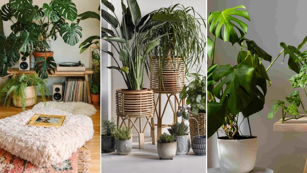 Evde ferahlık hissi yaratacak 10 dokunuş 3