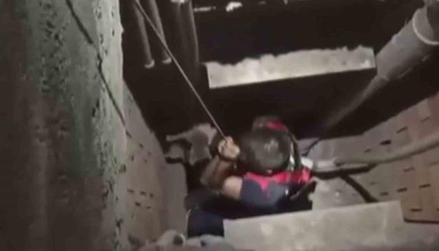 7 metre derinliğindeki boşluğa düşen kedi, zorlu operasyonla kurtarıldı 3