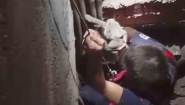 7 metre derinliğindeki boşluğa düşen kedi, zorlu operasyonla kurtarıldı 2