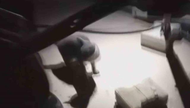 7 metre derinliğindeki boşluğa düşen kedi, zorlu operasyonla kurtarıldı 1