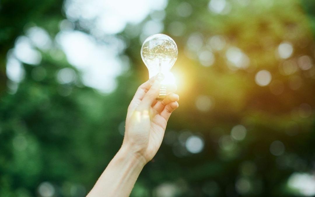 Enerjisa’dan ilk! Bakanlık kabullü tesisini devreye aldı 1