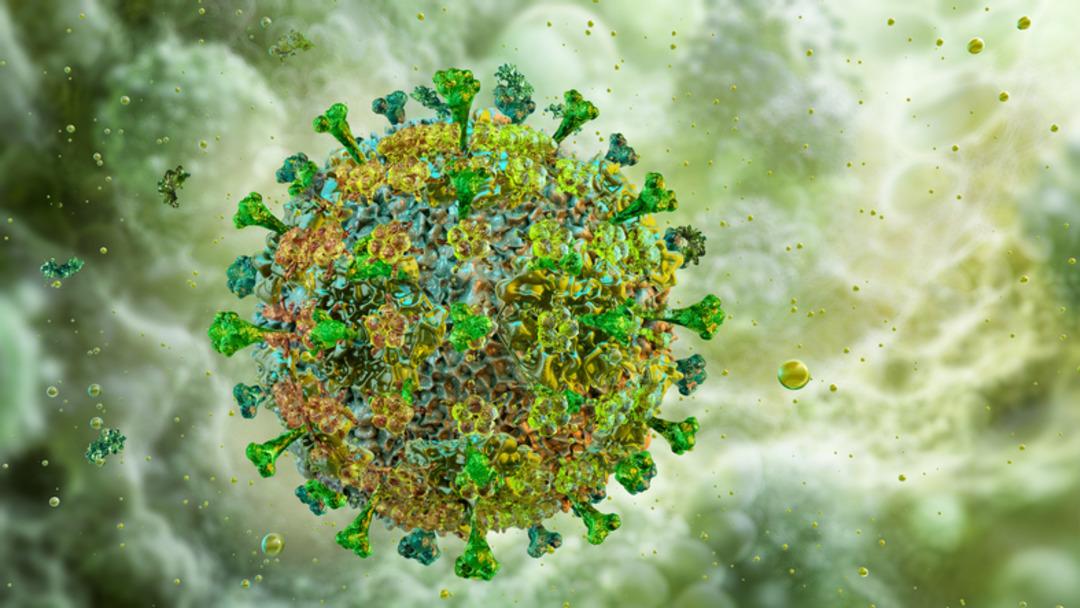 Ölümcül lassa ateşi: Fareden insana bulaşıyor! 166 kişi yaşamını yitirdi! Tehlike günden güne artıyor... 2