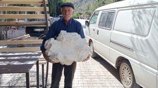 Taş zannetti, bambaşka bir şey çıktı! Tartıda 19 kilo geldi