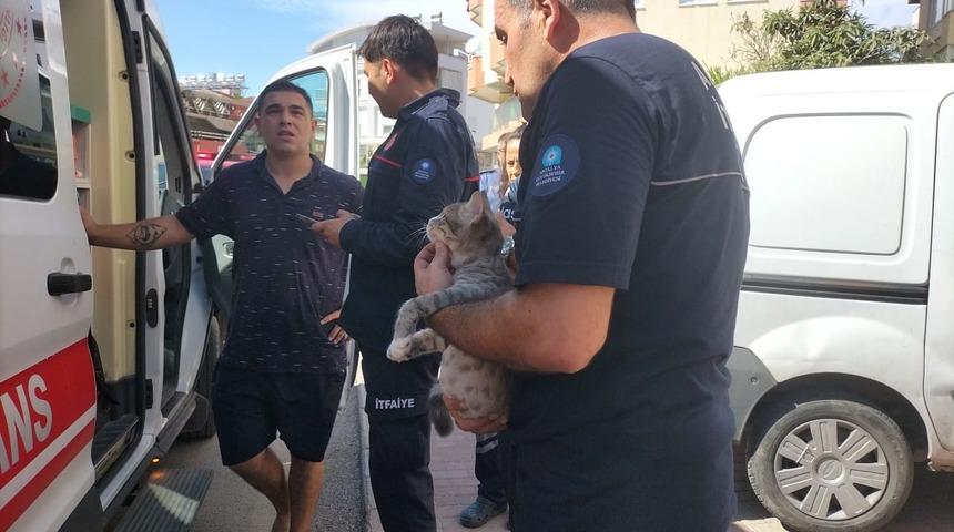 Antalya'da yangın: Ekipler kediyi kurtardı, evde ise maddi hasar oluştu