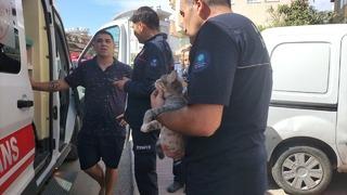 Antalya'da yangın: Ekipler kediyi kurtardı, evde ise maddi hasar oluştu