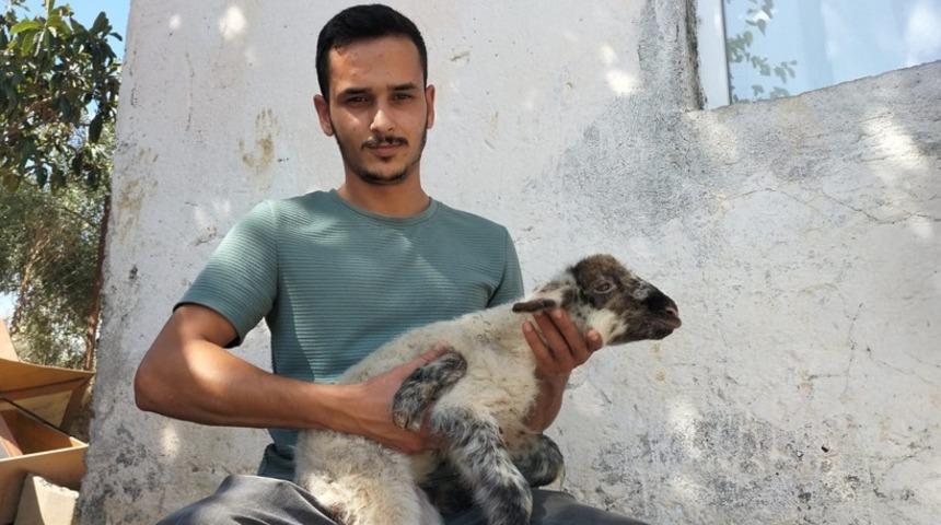 Antalya'da şaşırtan doğum! Görenler anlayamadı: "İlk defa görüyorum"